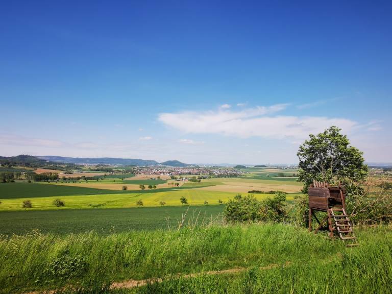 Ferienwohnung  Niedenstein