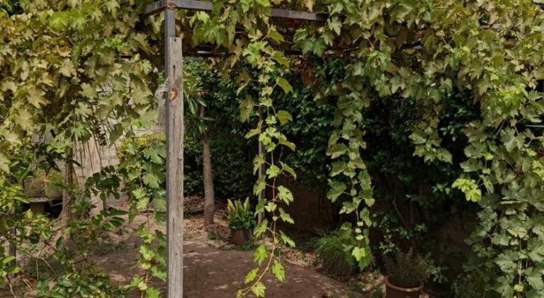 foto15