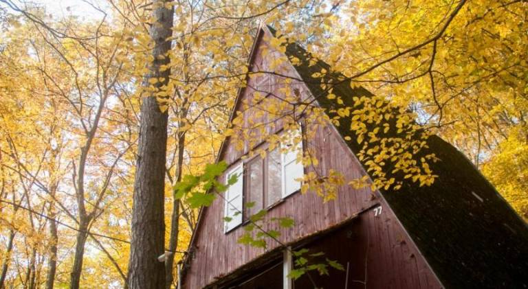 Chalet with BBQ & terrace | Pets allowed — photo 4