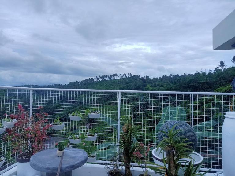 foto10