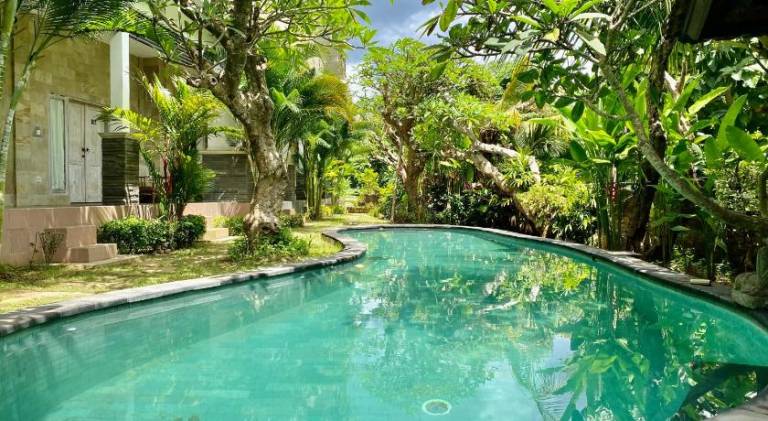 House with pool — photo 3
