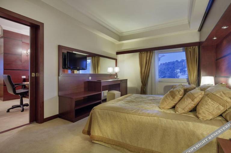 Palan Hotel — photo 2