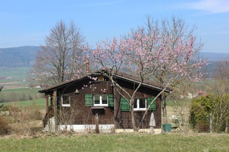 Ferienhaus Bassecourt