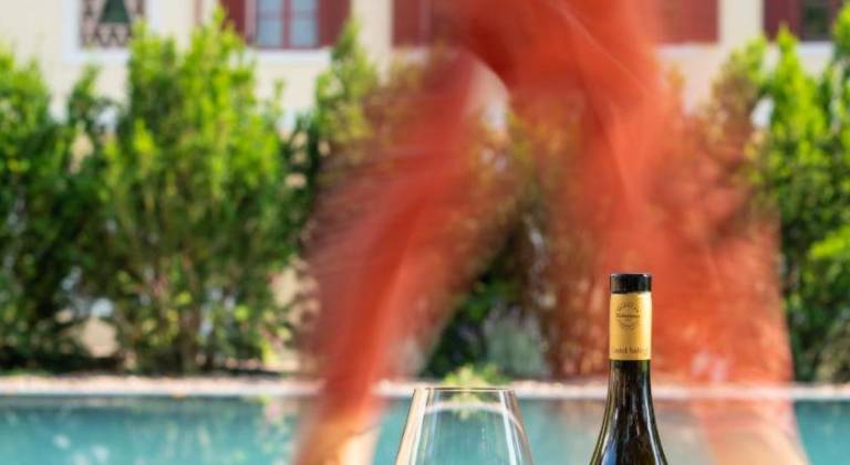 Castel Sallegg Suites Adults only in Caldaro Sulla Strada del Vino