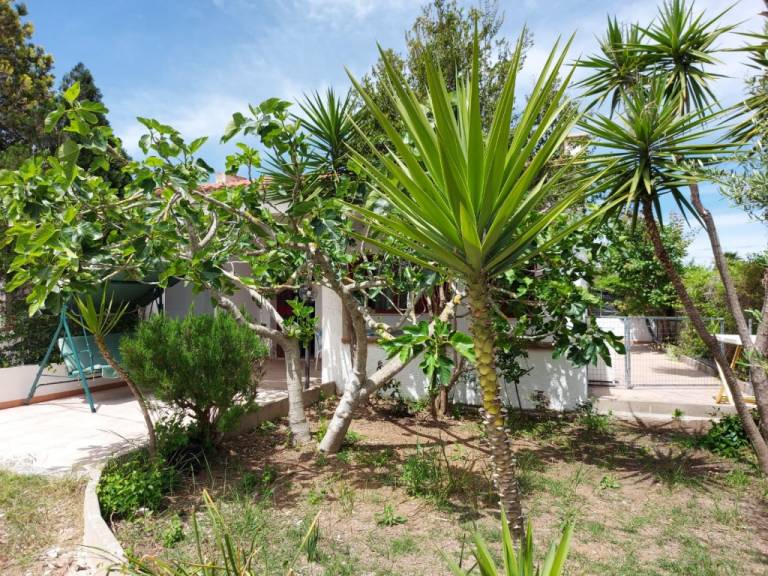 Children-friendly pleasant villa with BBQ | Nature view | Dogs allowed — photo 2