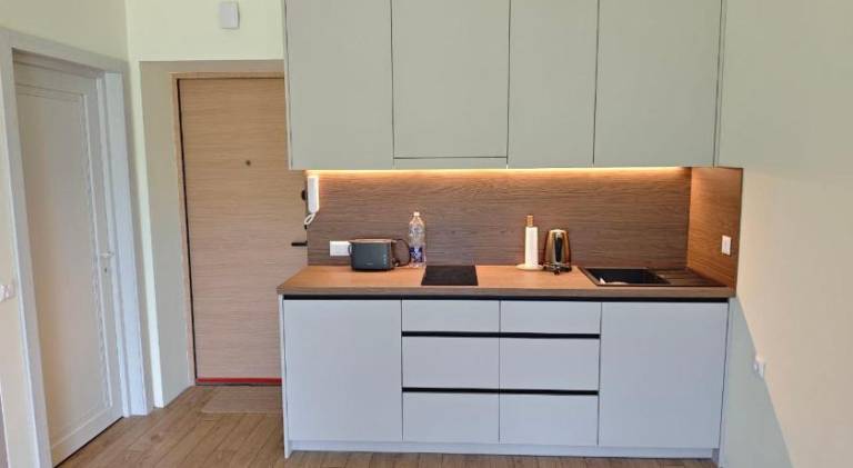 Rental apartment with 1 room for 4 persons — photo 4