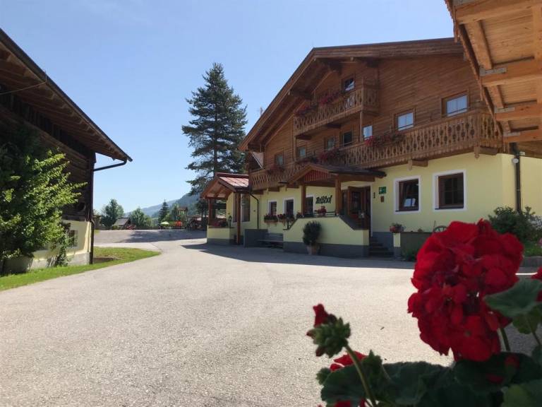 foto19