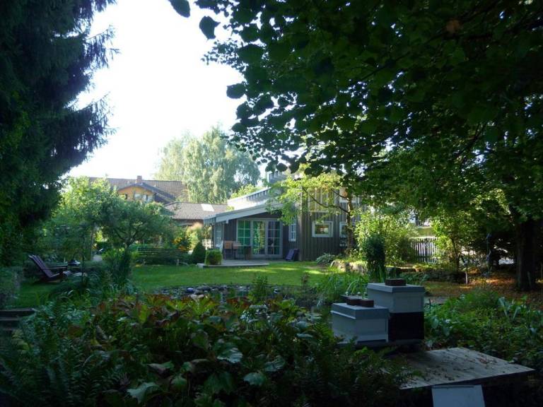 foto31