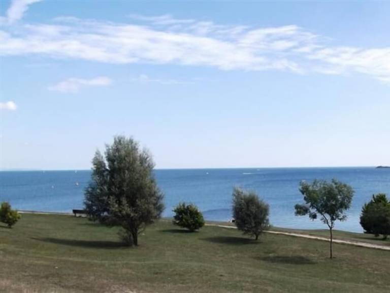 Cottage  Weymouth