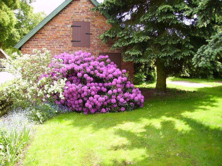Ferienwohnung Neu Darchau