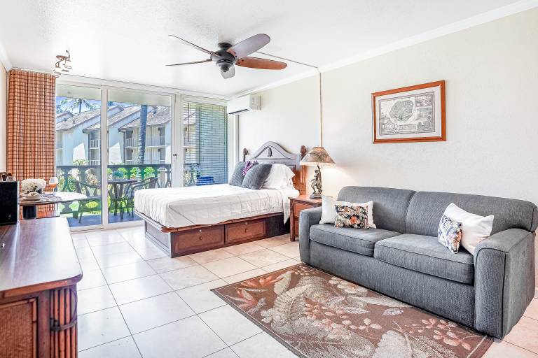 Studio flat Kapaa