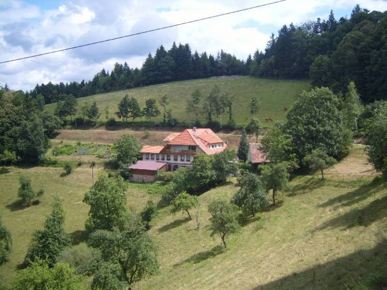 foto26