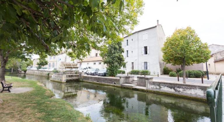 Holiday apartment with 1 room for 2 persons in L'Isle-sur-la-Sorgue