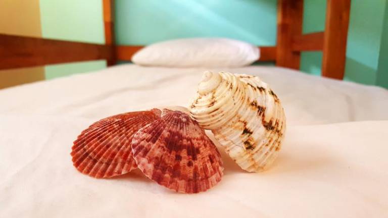 Hostel Luquillo