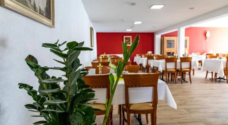 Hotel JAGERHAUS in Singen am Hohentwiel — photo 3
