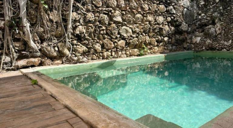 House with pool — photo 5