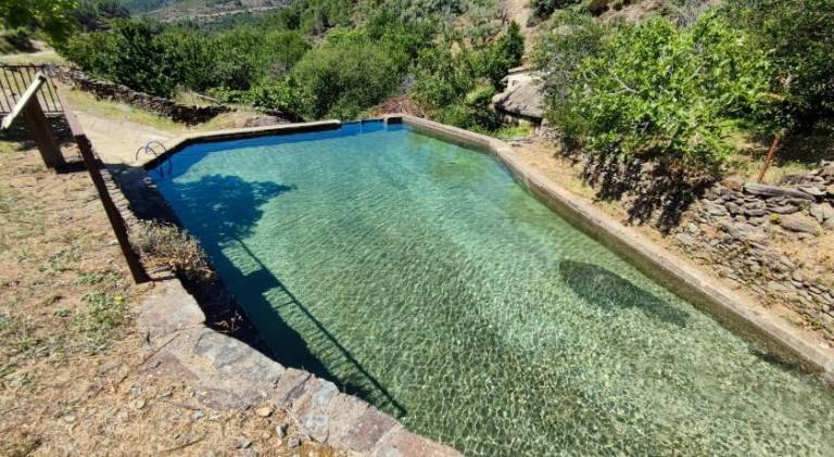 Vacation home with pool, garden & barbeque — photo 3