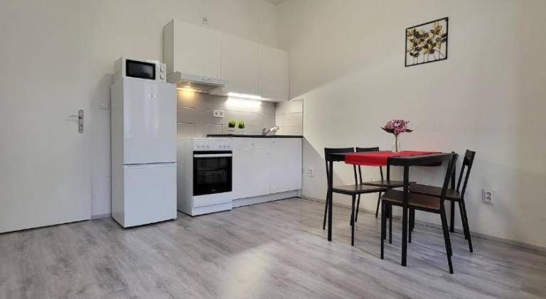 Apartment | Next to Špilberk Castle | Pets allowed — photo 3