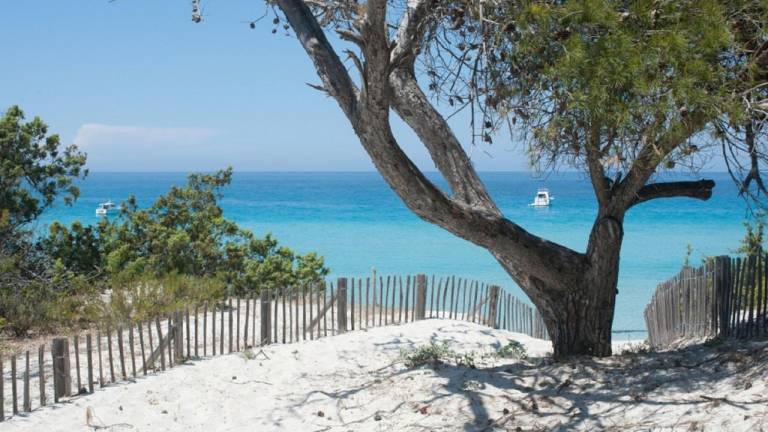 Ferienhaus in Oletta, Korsika, Frankreich