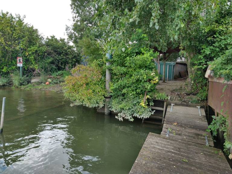 foto11