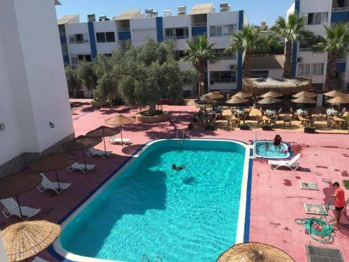 Charming serviced apartment with yard & pool | Next to the beach | Pets are welcome — photo 5