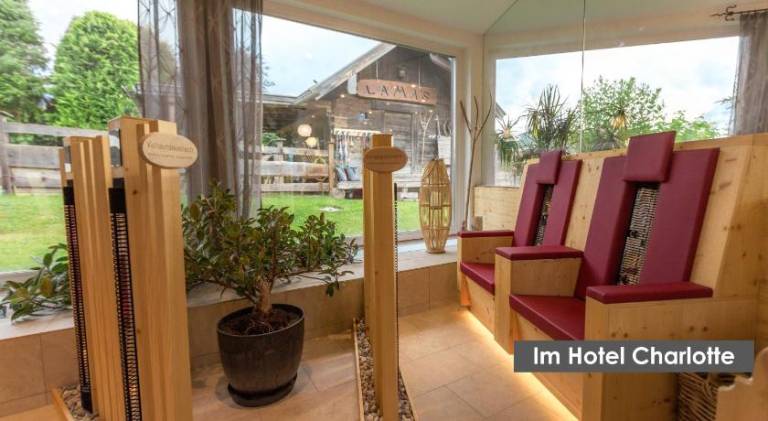 Beautiful rental apartment | Dogs allowed — photo 4