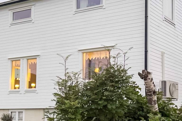 Ferienhaus Mefjordvær