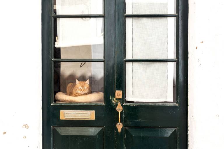 foto23