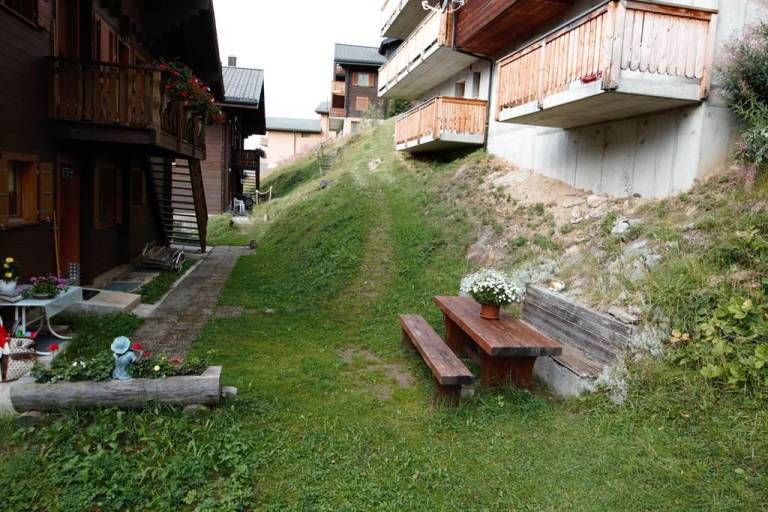 foto6