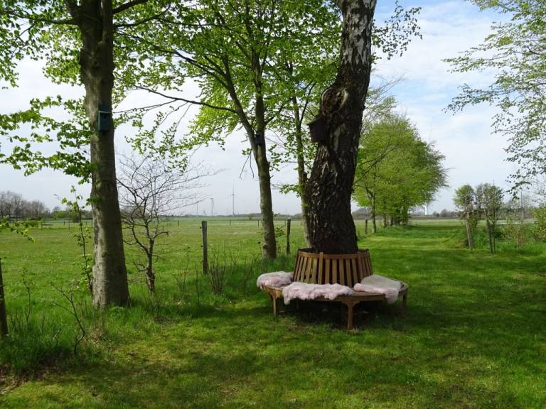 foto20