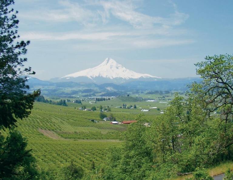 Lodge Hood River