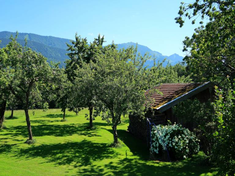 foto19