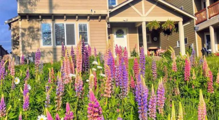 Central Tacoma Homestay with breakfast included -private room- in Tacoma, WA