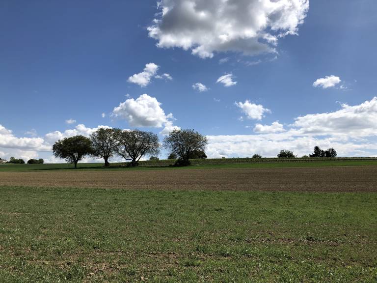 foto11