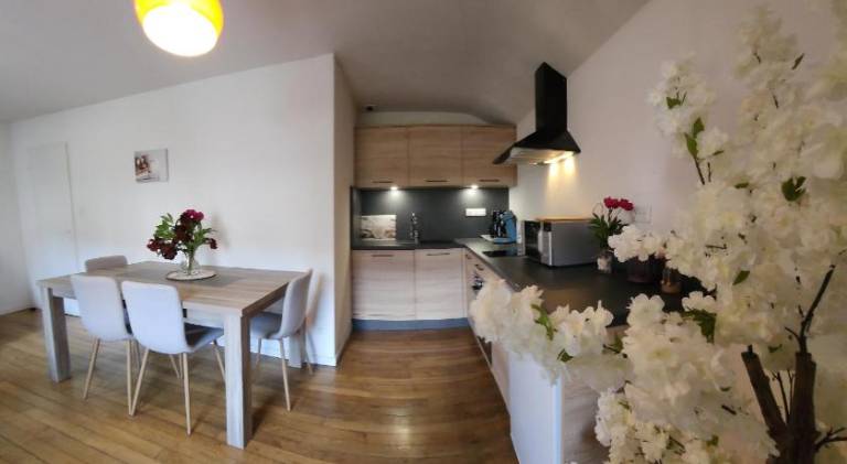 Wonderful holiday apartment | Pets allowed in Thann