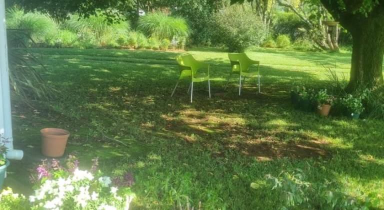 foto31