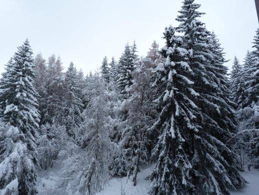 foto4