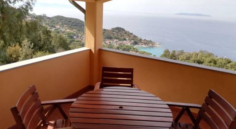 Pleasant serviced apartment with patio & yard | Pets allowed — photo 3