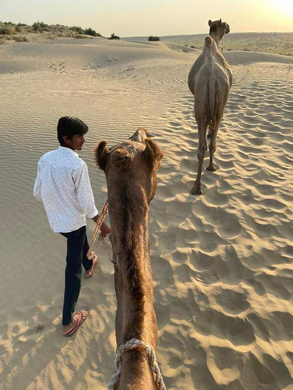 Hotel Kings Villa Jaisalmer — photo 4