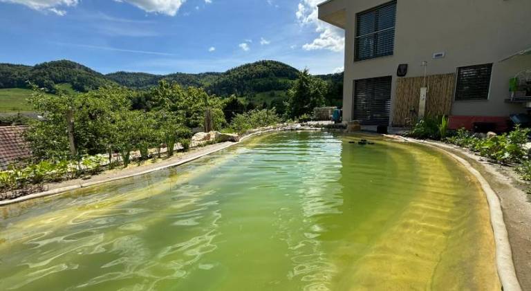 Chez Svanette B&B Villa Sonngluck — photo 5