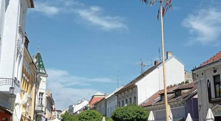 Pleasant rental apartment | Pets allowed in Piestany