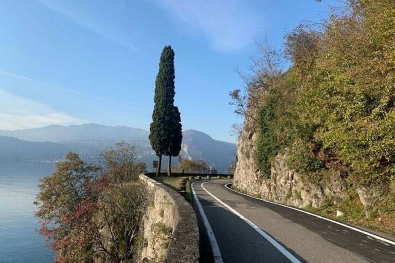 foto36