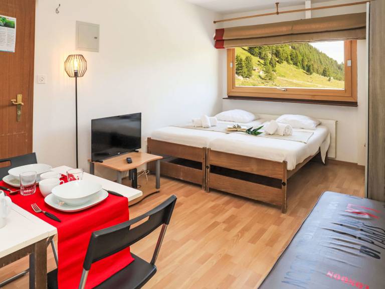Ferienwohnung in Nendaz, Siviez f&uuml;r max. 2 Personen
