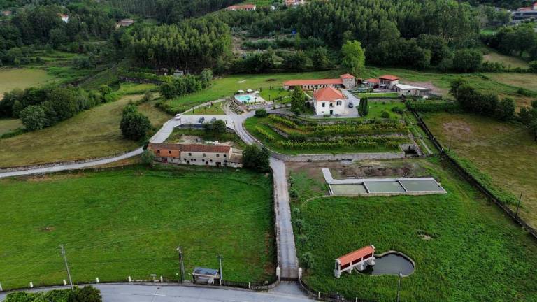 foto46
