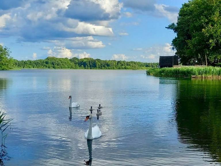 Ferienhaus Krakow am See