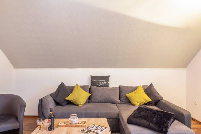 Apartment 'Ferienwohnung Schiller' with Shared Garden, Balcony and Wi-Fi — photo 4