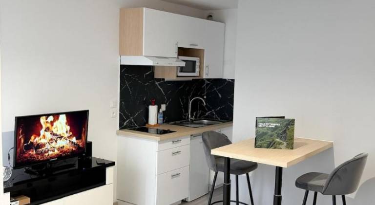 Rental apartment with 1 room for 2 persons in Aix-les-Bains