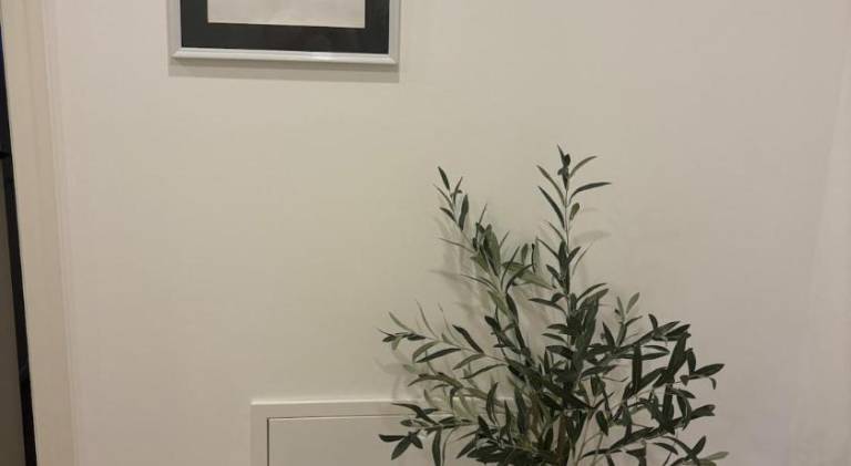 foto41