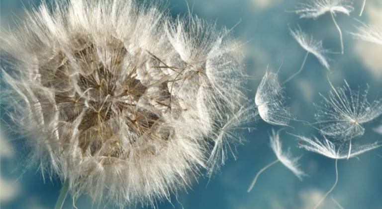 Ferienwohnung Balatonfüred