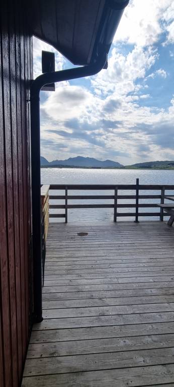  mit Hund inVestvågøy, Nordnorwegen Gebirgsnorwegen f&uuml;r max. 6 Personen